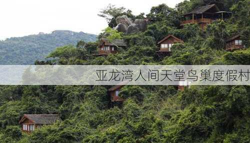 亚龙湾人间天堂鸟巢度假村