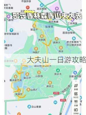 大夫山一日游攻略