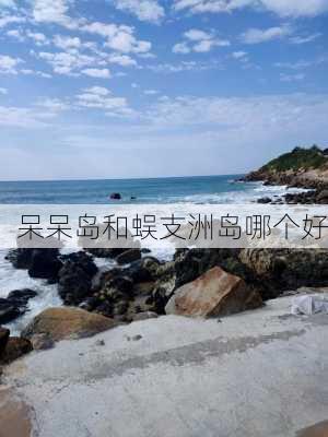 呆呆岛和蜈支洲岛哪个好