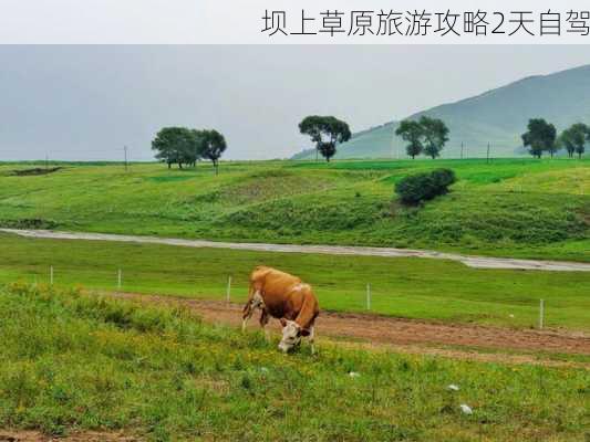 坝上草原旅游攻略2天自驾