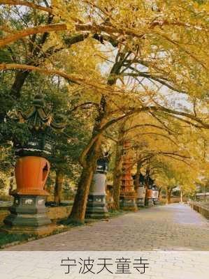 宁波天童寺