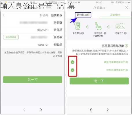 输入身份证号查飞机票