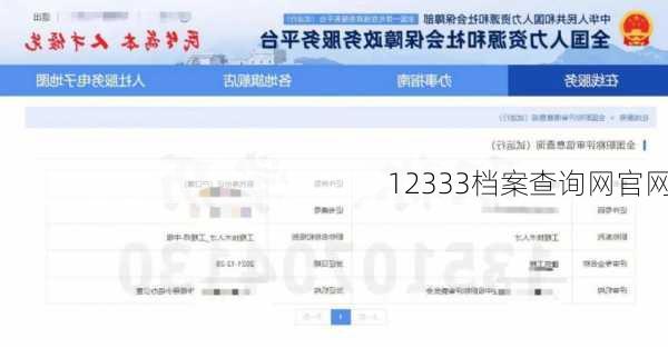 12333档案查询网官网