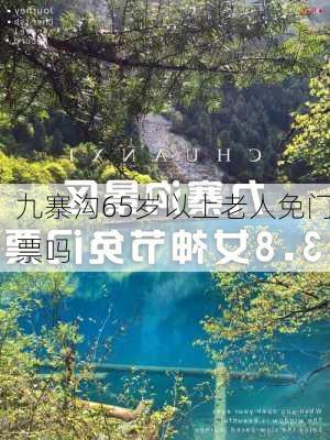 九寨沟65岁以上老人免门票吗