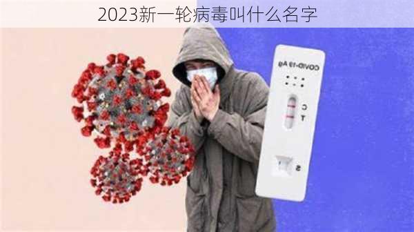 2023新一轮病毒叫什么名字