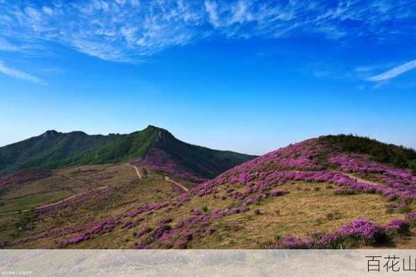 百花山