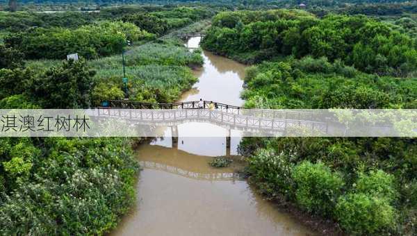 淇澳红树林