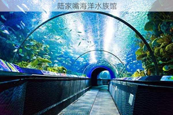 陆家嘴海洋水族馆