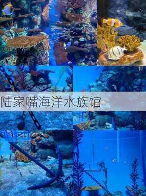 陆家嘴海洋水族馆