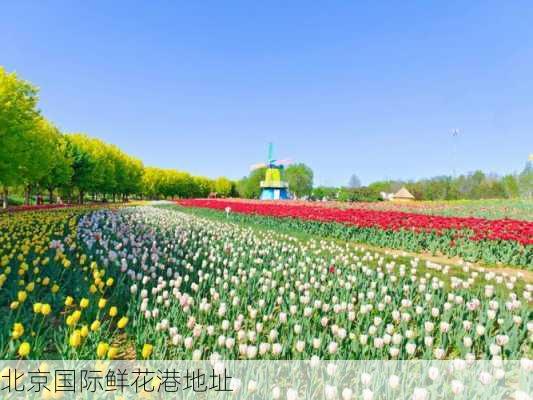 北京国际鲜花港地址