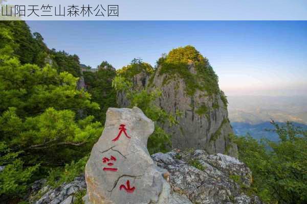 山阳天竺山森林公园