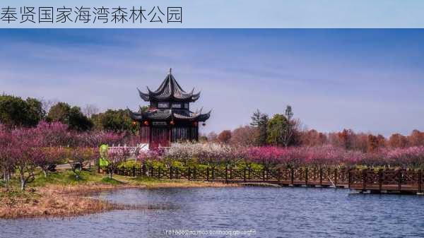 奉贤国家海湾森林公园