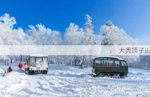 大秃顶子山