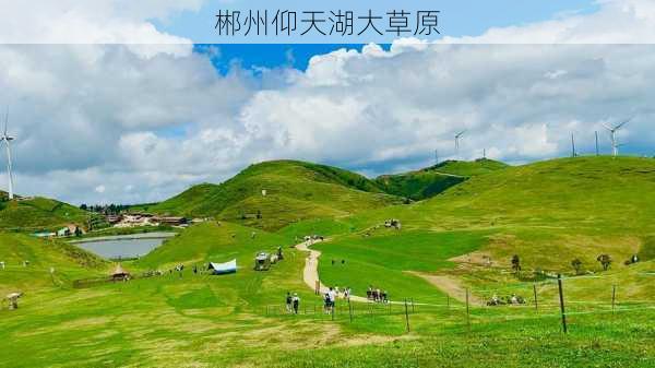 郴州仰天湖大草原