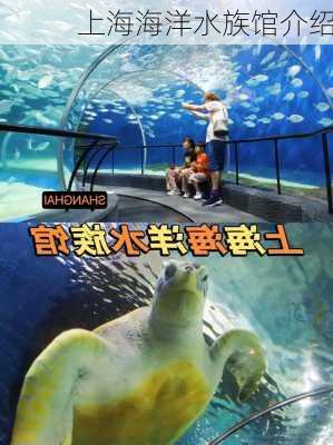 上海海洋水族馆介绍