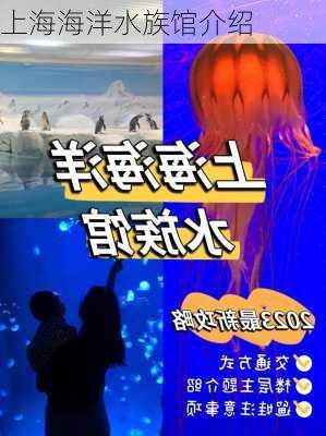 上海海洋水族馆介绍