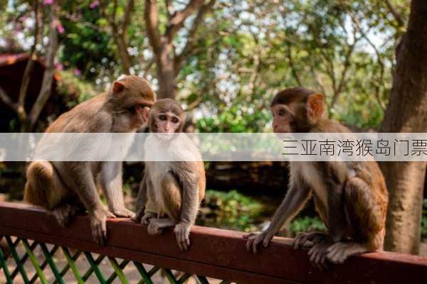 三亚南湾猴岛门票