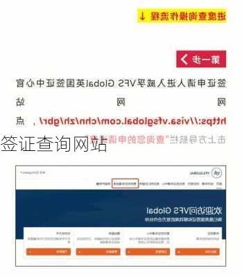 签证查询网站