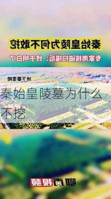 秦始皇陵墓为什么不挖