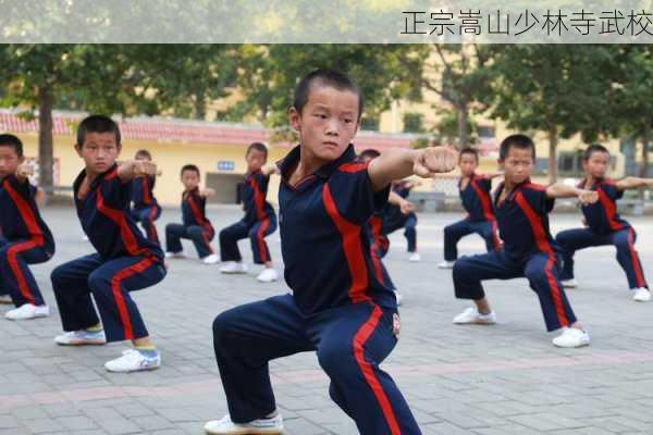 正宗嵩山少林寺武校