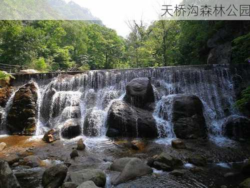 天桥沟森林公园