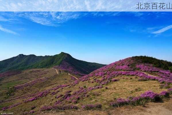 北京百花山