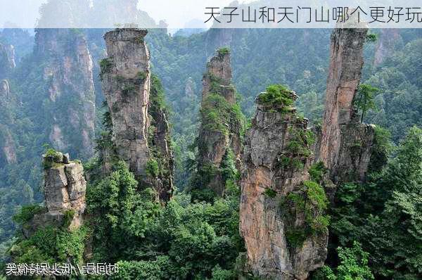 天子山和天门山哪个更好玩