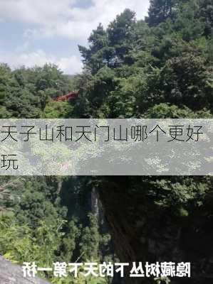 天子山和天门山哪个更好玩