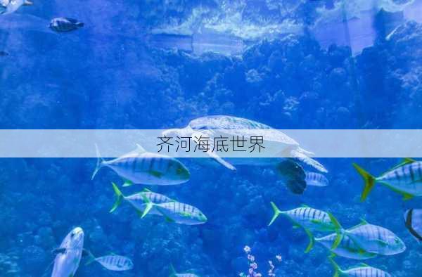 齐河海底世界