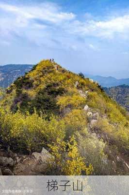 梯子山