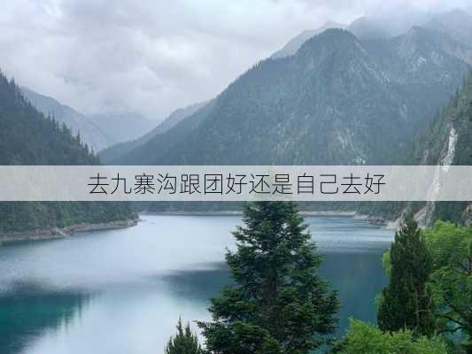 去九寨沟跟团好还是自己去好