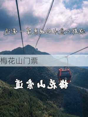 梅花山门票