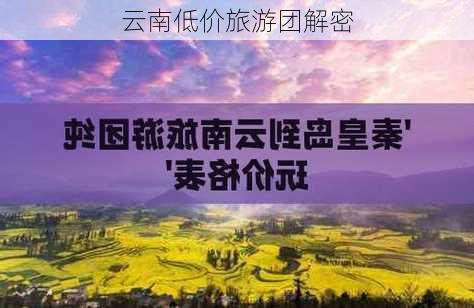 云南低价旅游团解密