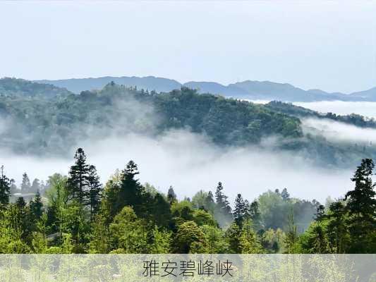 雅安碧峰峡