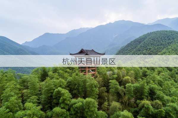 杭州天目山景区