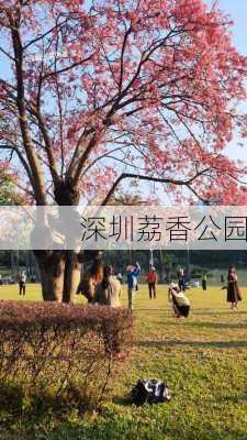 深圳荔香公园