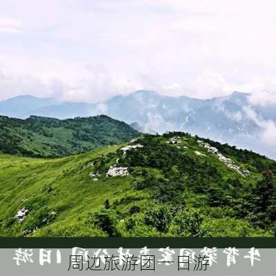 周边旅游团一日游