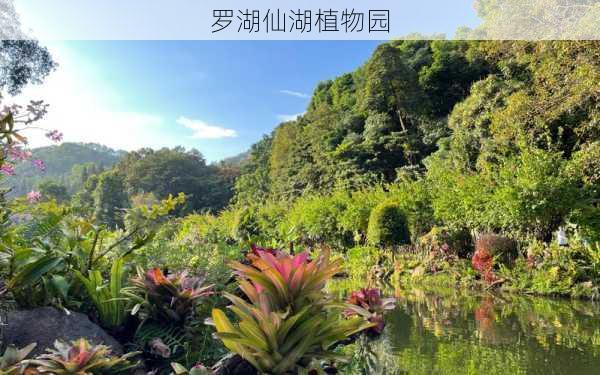 罗湖仙湖植物园