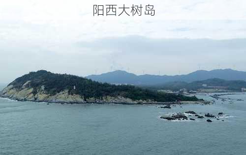 阳西大树岛