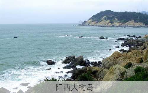 阳西大树岛