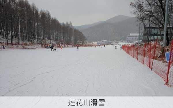 莲花山滑雪