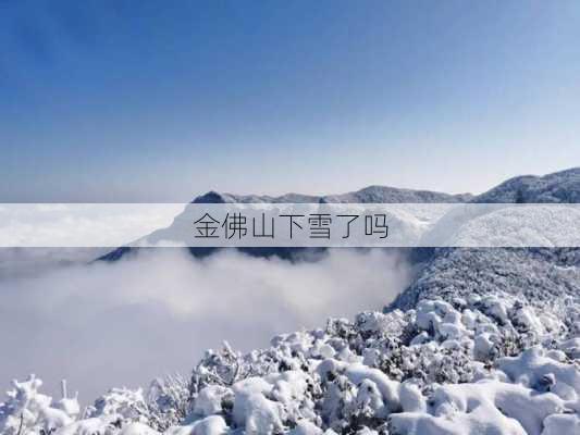 金佛山下雪了吗