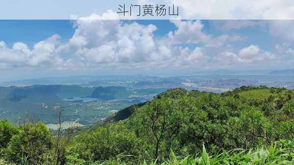 斗门黄杨山