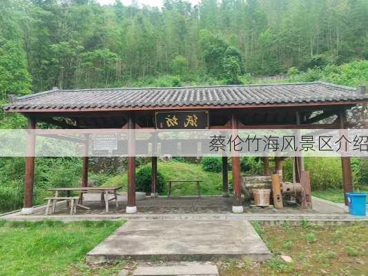 蔡伦竹海风景区介绍