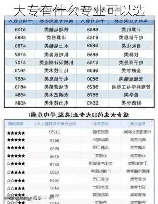 大专有什么专业可以选