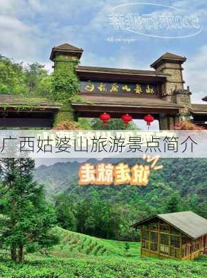 广西姑婆山旅游景点简介