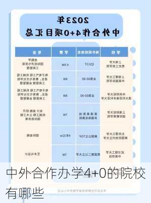 中外合作办学4+0的院校有哪些