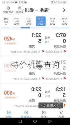 特价机票查询