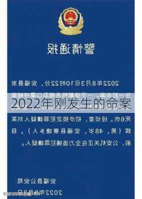 2022年刚发生的命案