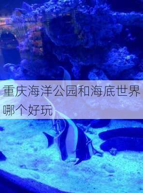 重庆海洋公园和海底世界哪个好玩